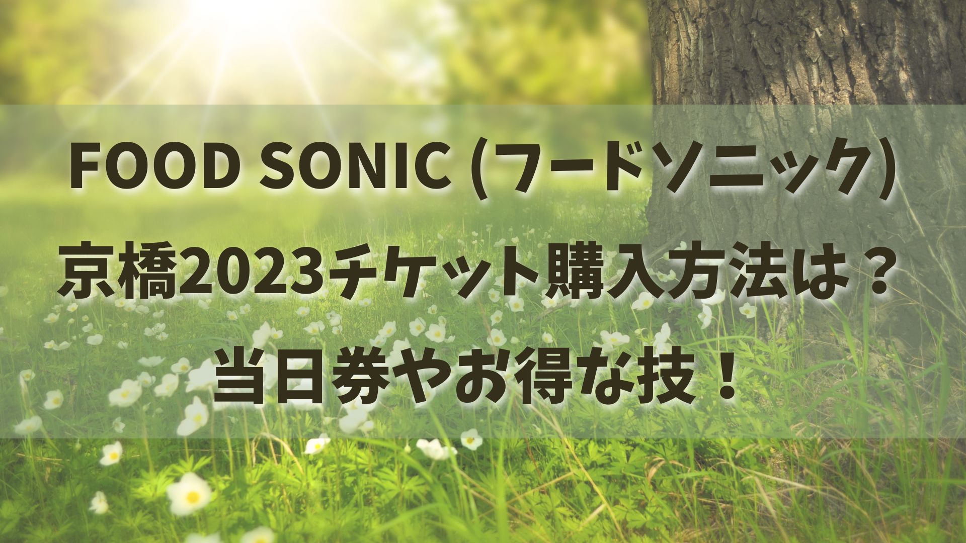 FOOD SONIC（フードソニック）京橋2023チケット購入方法は？当日券やお得な技！