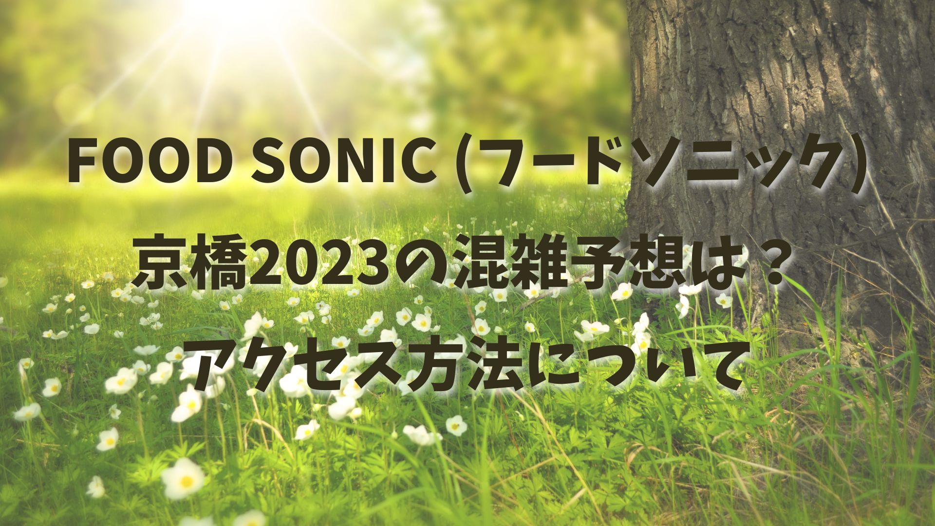FOOD SONIC (フードソニック)京橋2023の混雑予想は？アクセス方法について